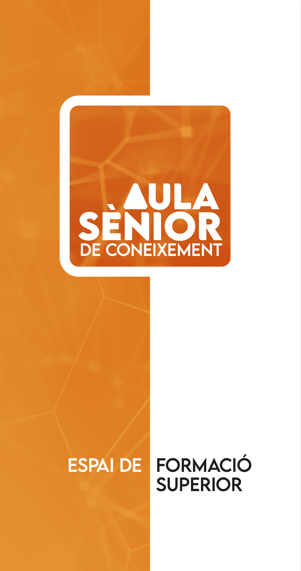 AulaSenior2026
